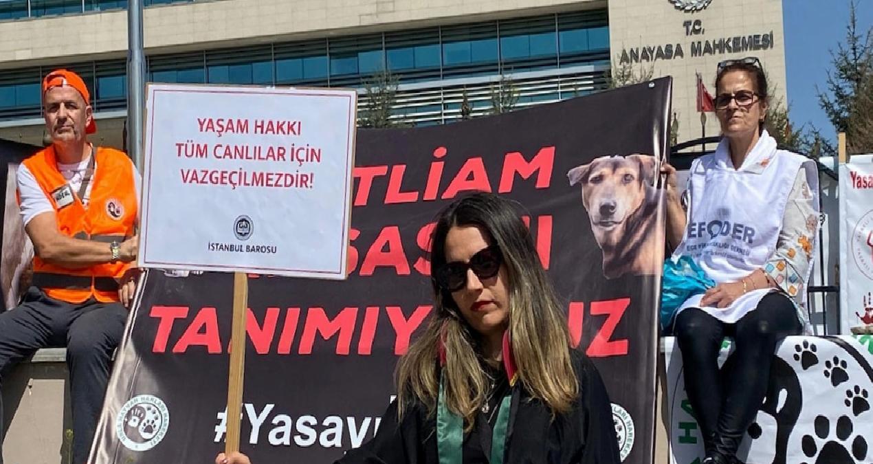 Hayvanseverlerden AYM önünde nöbet