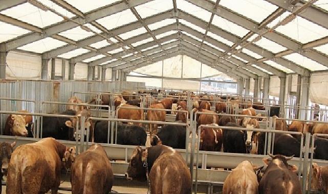 İBB’den Kurban Bayramı İçin 4 Modern Tesis