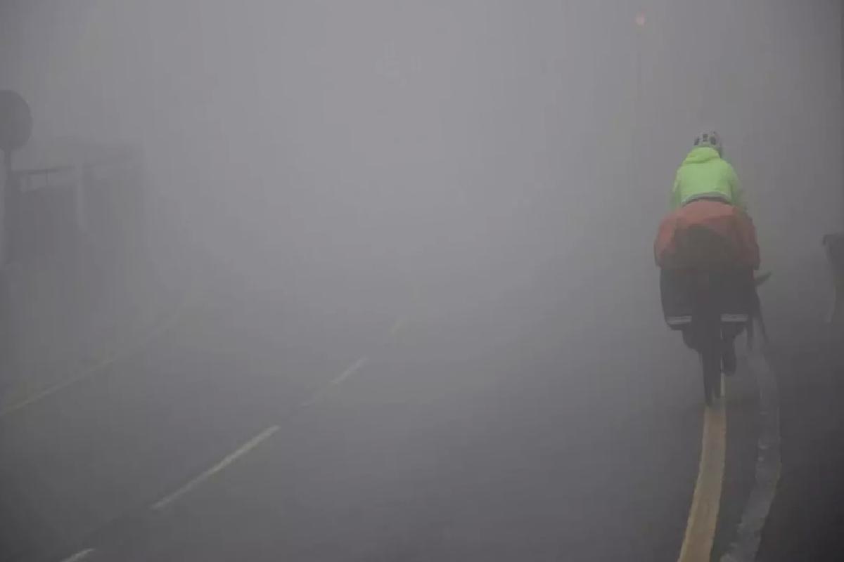 İspanyol Çiftçi Vietnam’a Yola Çıktı