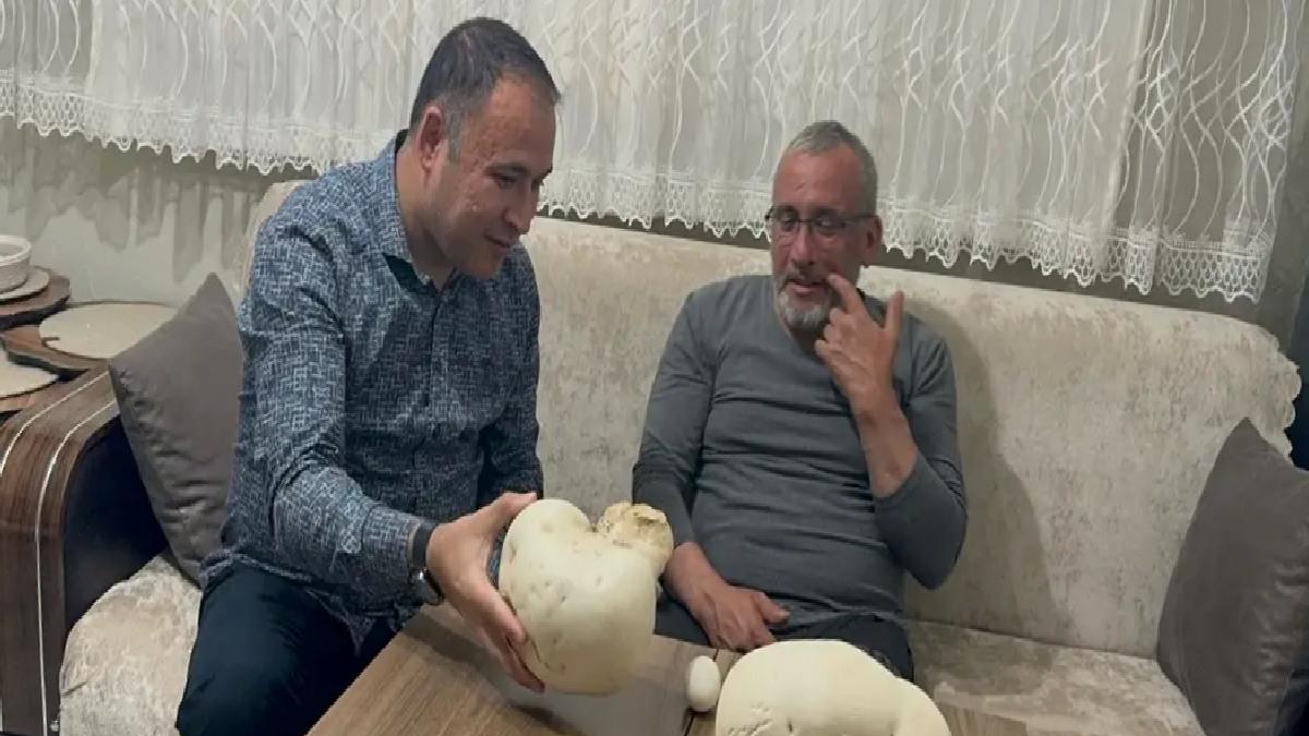 Isparta’da 2,5 kg ve 1,5 kg’lık Dev Mantarlar Bulundu
