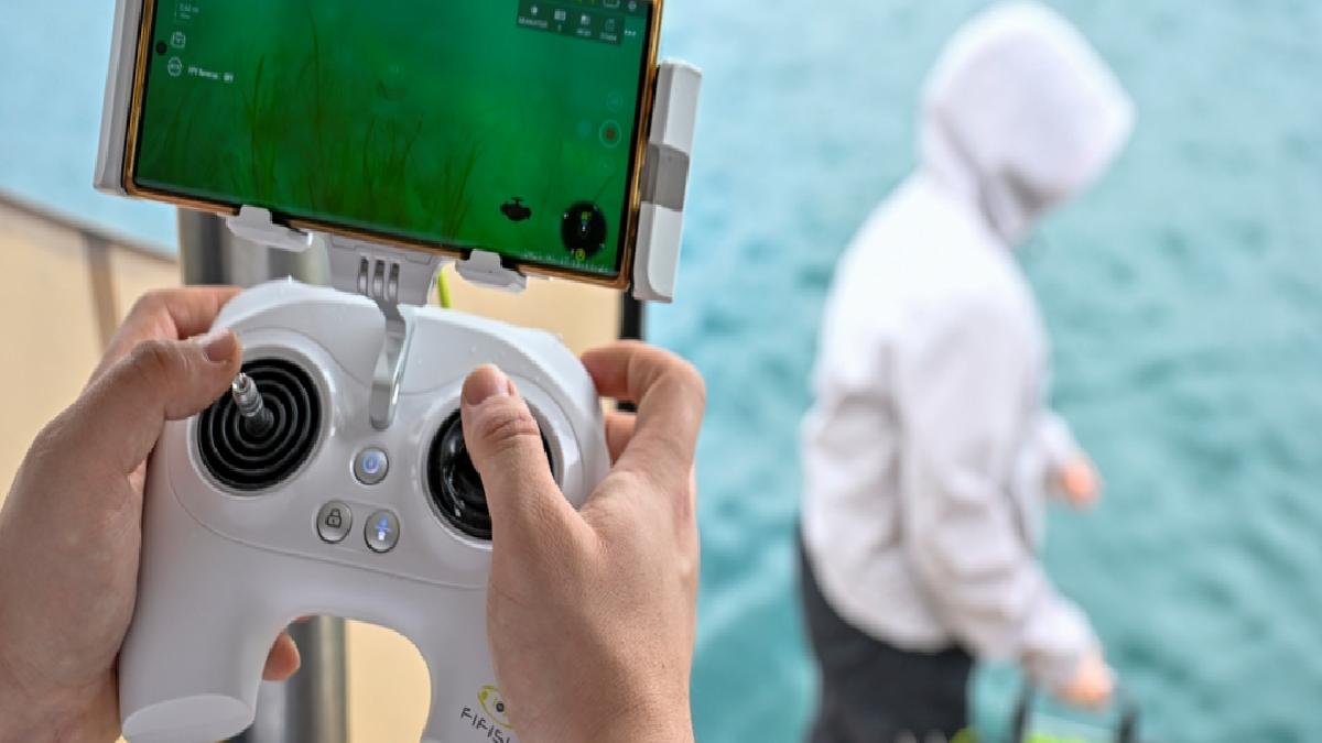 İstanbul Boğazı’ndaki deniz çayırlarının üzerindeki müsilaj arttı