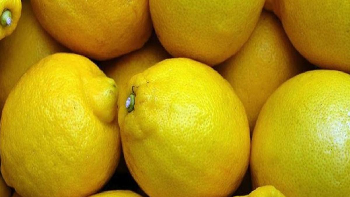 İstanbul’da nisan ayında fiyatı en çok artan ürün limon oldu