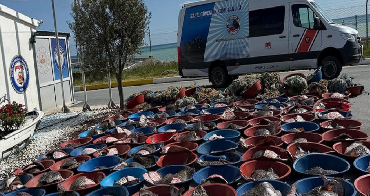 İstanbul’da yüzlerce kalkan balığına el konuldu