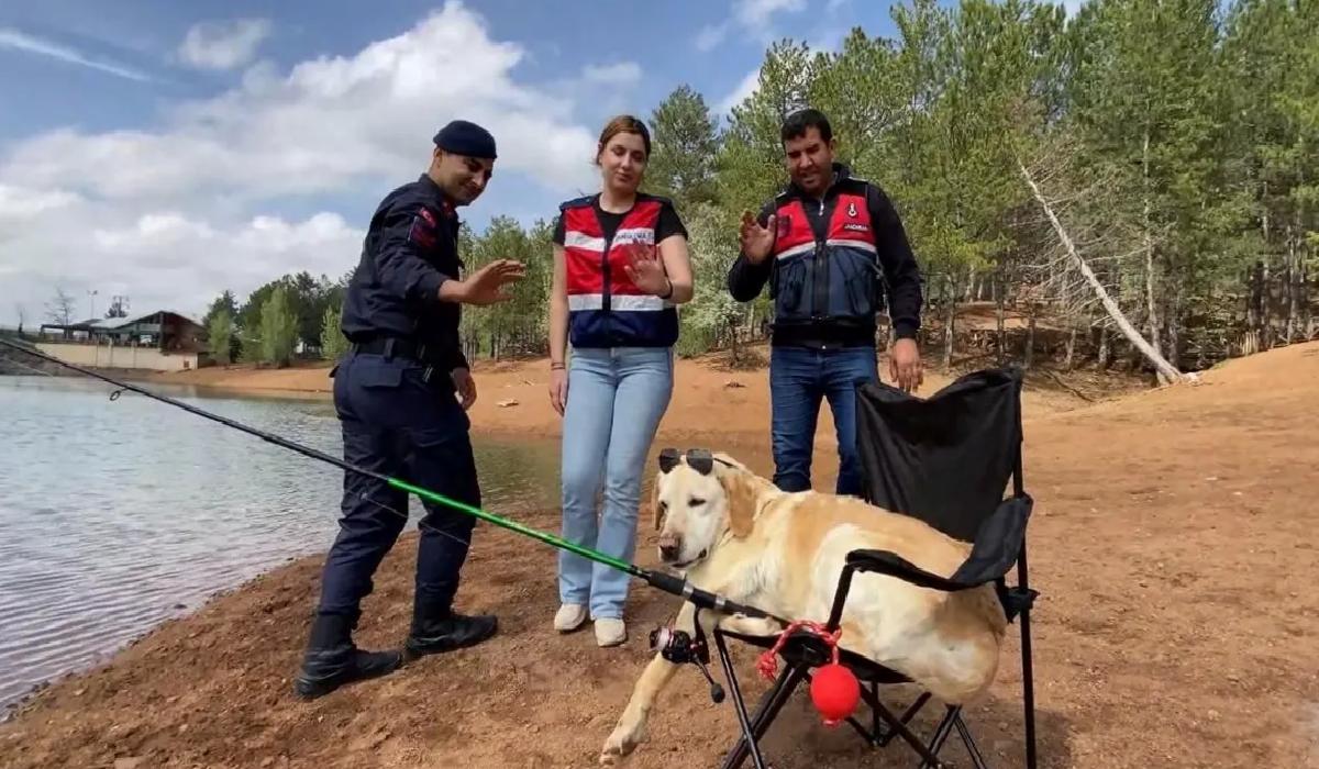 İz Takip Köpeği Dost Emekli Oldu