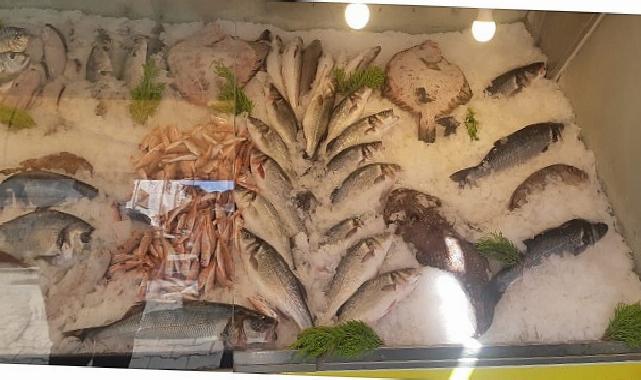 İzmir’de Su Ürünleri Denetimlerinde Ceza Yağdı: Yasa Dışı Avcılığa Geçit Yok