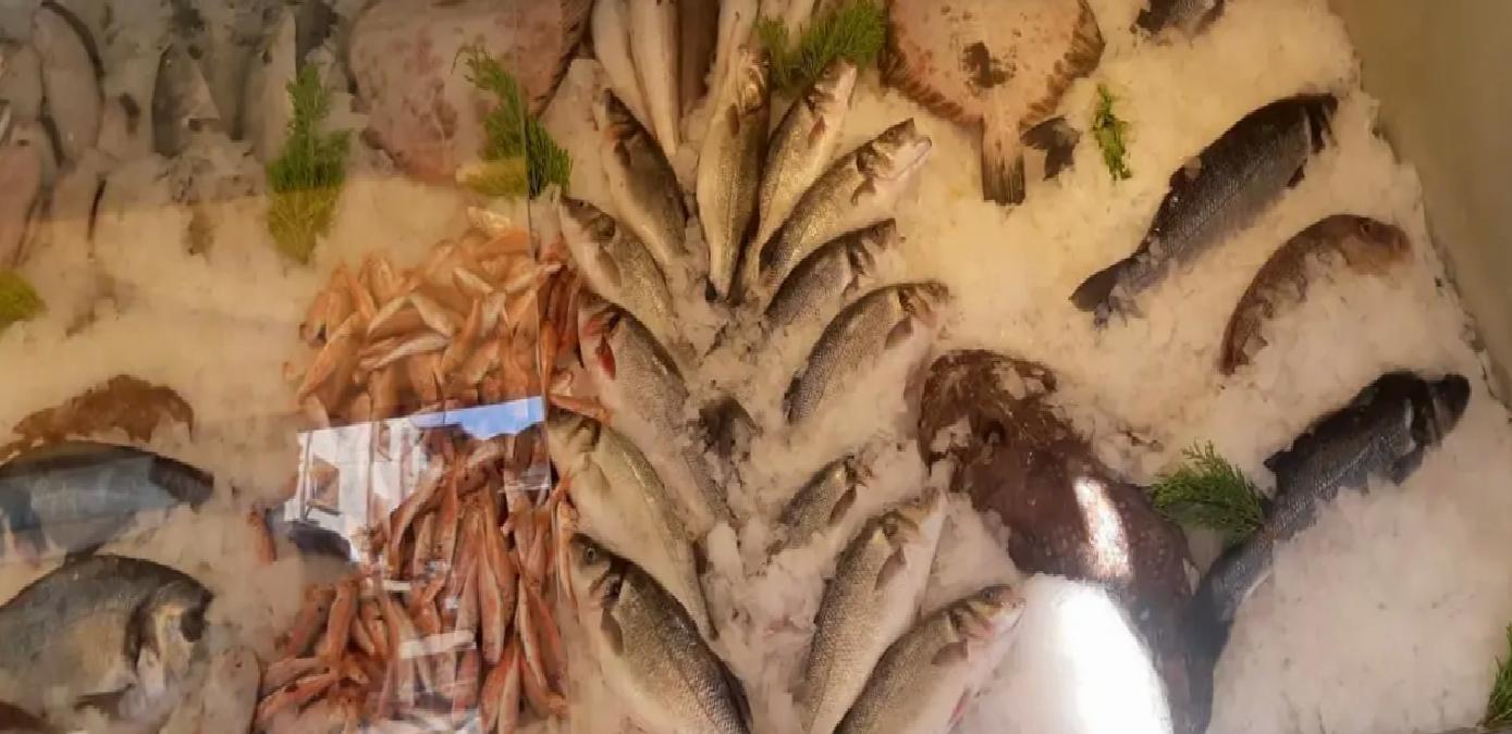 İzmir’de Su Ürünlerine Ceza