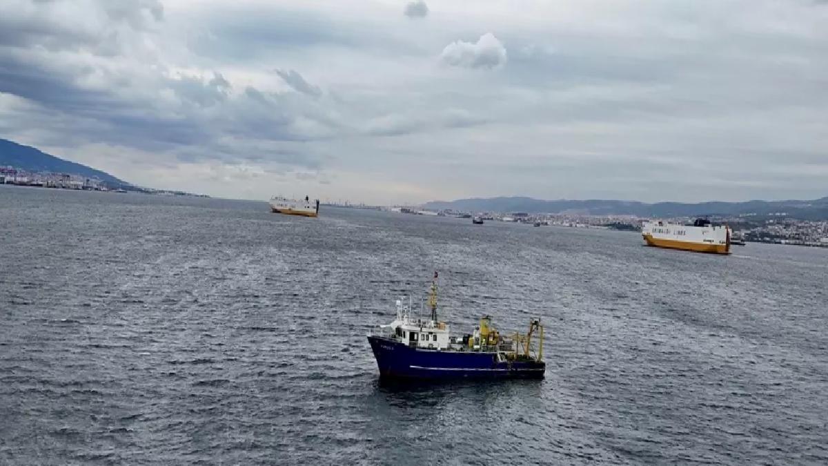 İzmit Körfezi’nde Su Kalitesinde İyileşme