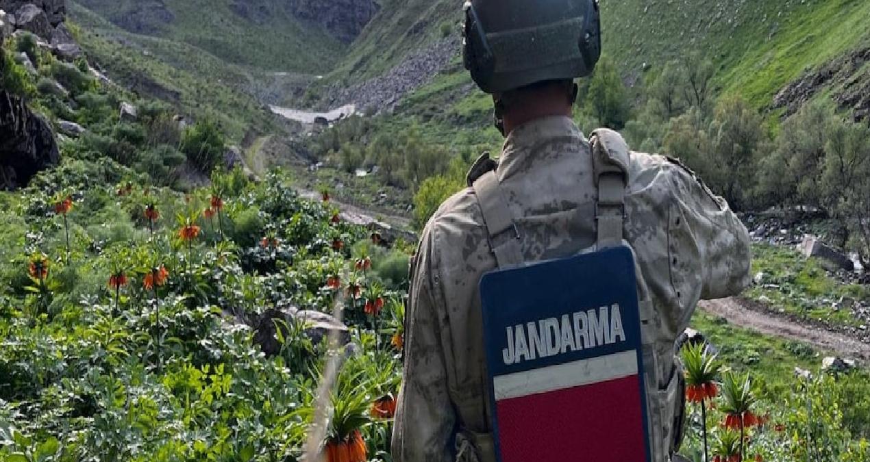 Jandarmalar gece gündüz başında nöbet tutuyor: Zarar verene 577 bin lira ceza uygulanıyor