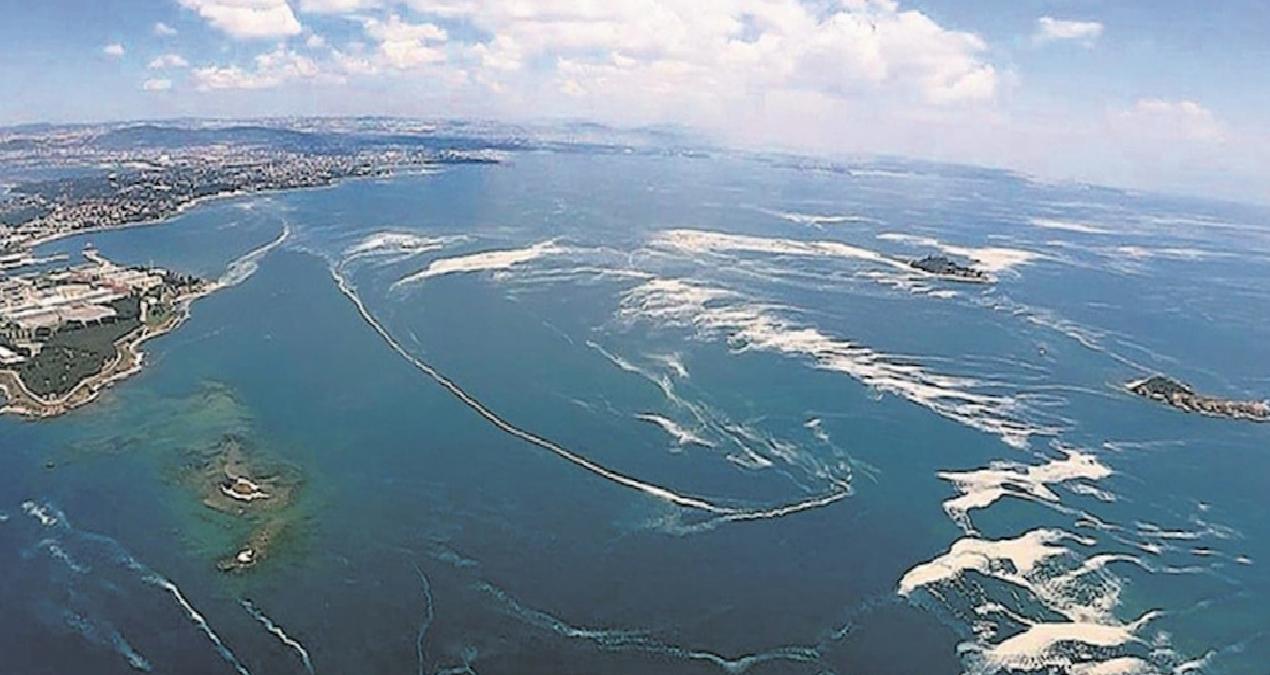 Kabus Marmara’da yeniden görüldü, çevre sakinlerini endişelendirdi