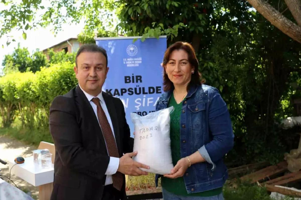 Kadın Çiftçilere Susam Eğitimi ve Tohum Desteği