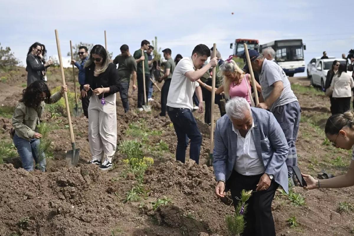 Kadına Şiddete Dikkat: 2 Bin Fidan Dikildi