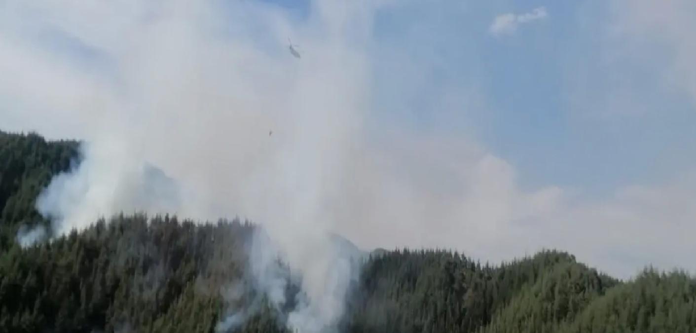 Kahramanmaraş’ta Orman Yangını