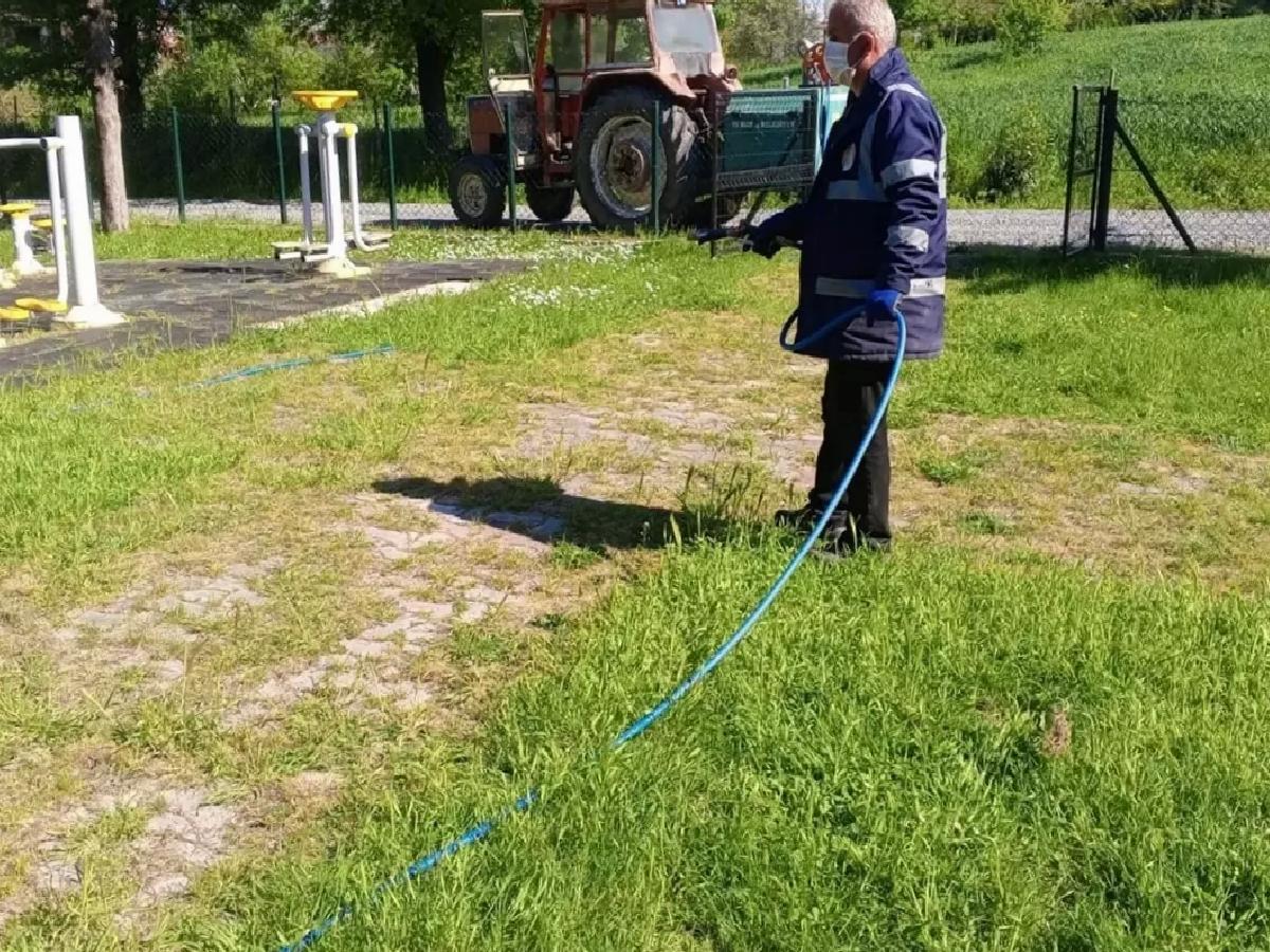 Kahverengi Kokarca ile Mücadele Devam Ediyor