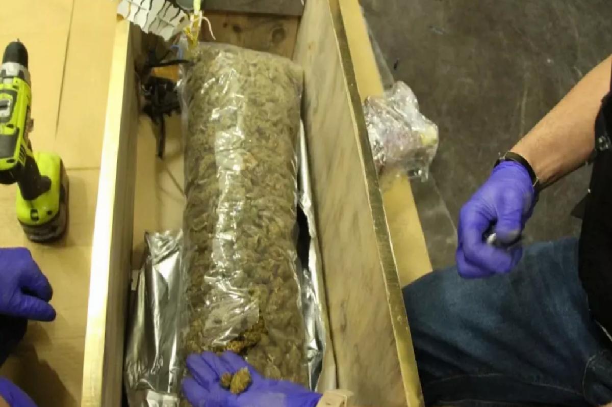 Kapıkule’de 49 Kilo Esrar Ele Geçirildi