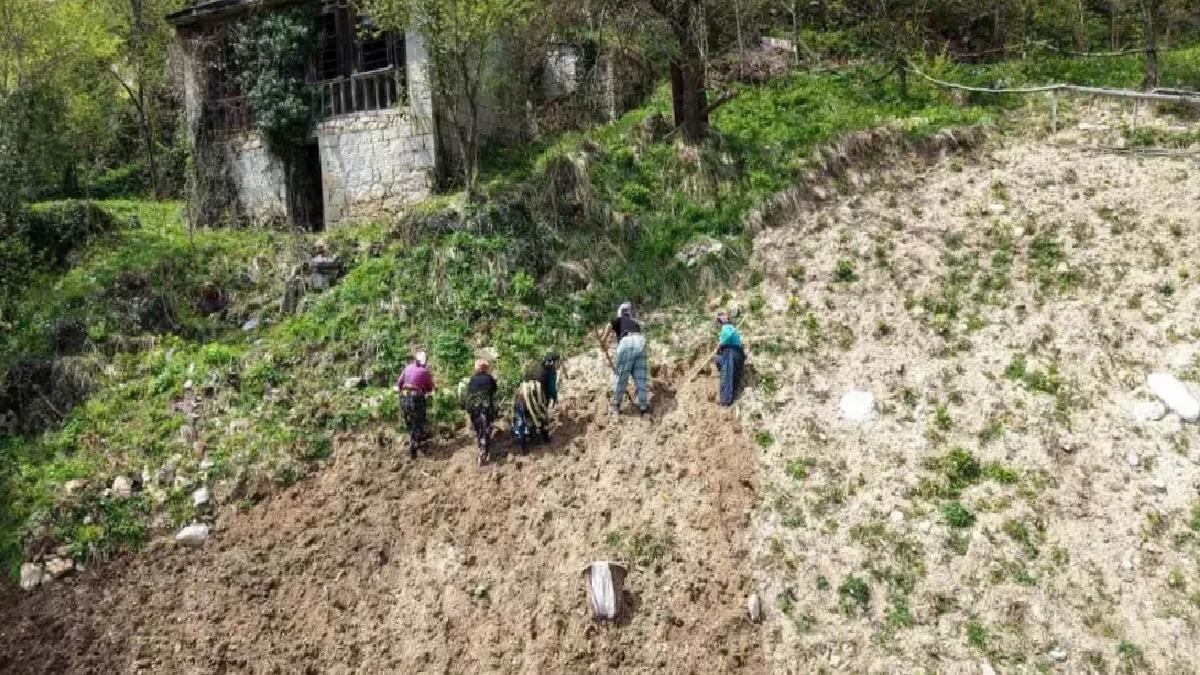 Karadeniz Kadınları Baharla Tarlalarda