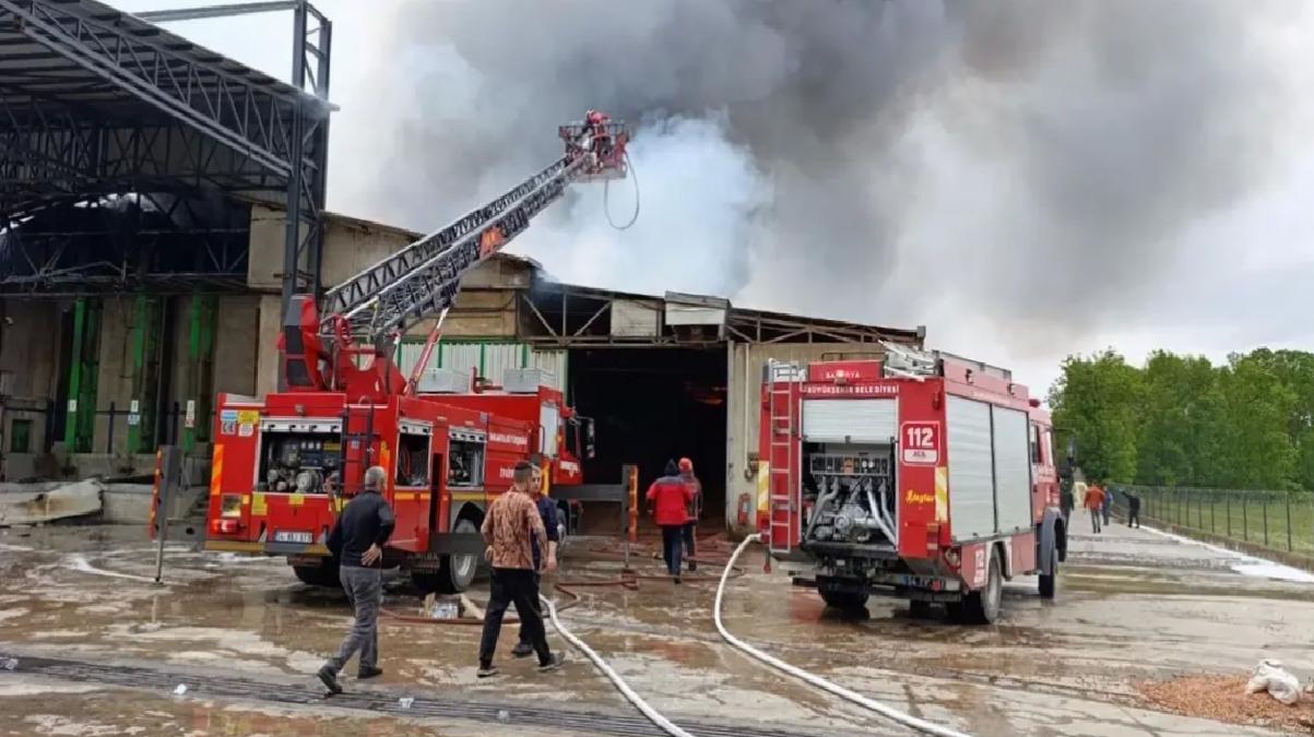 Karasu’daki Fındık Fabrikasında Yangın