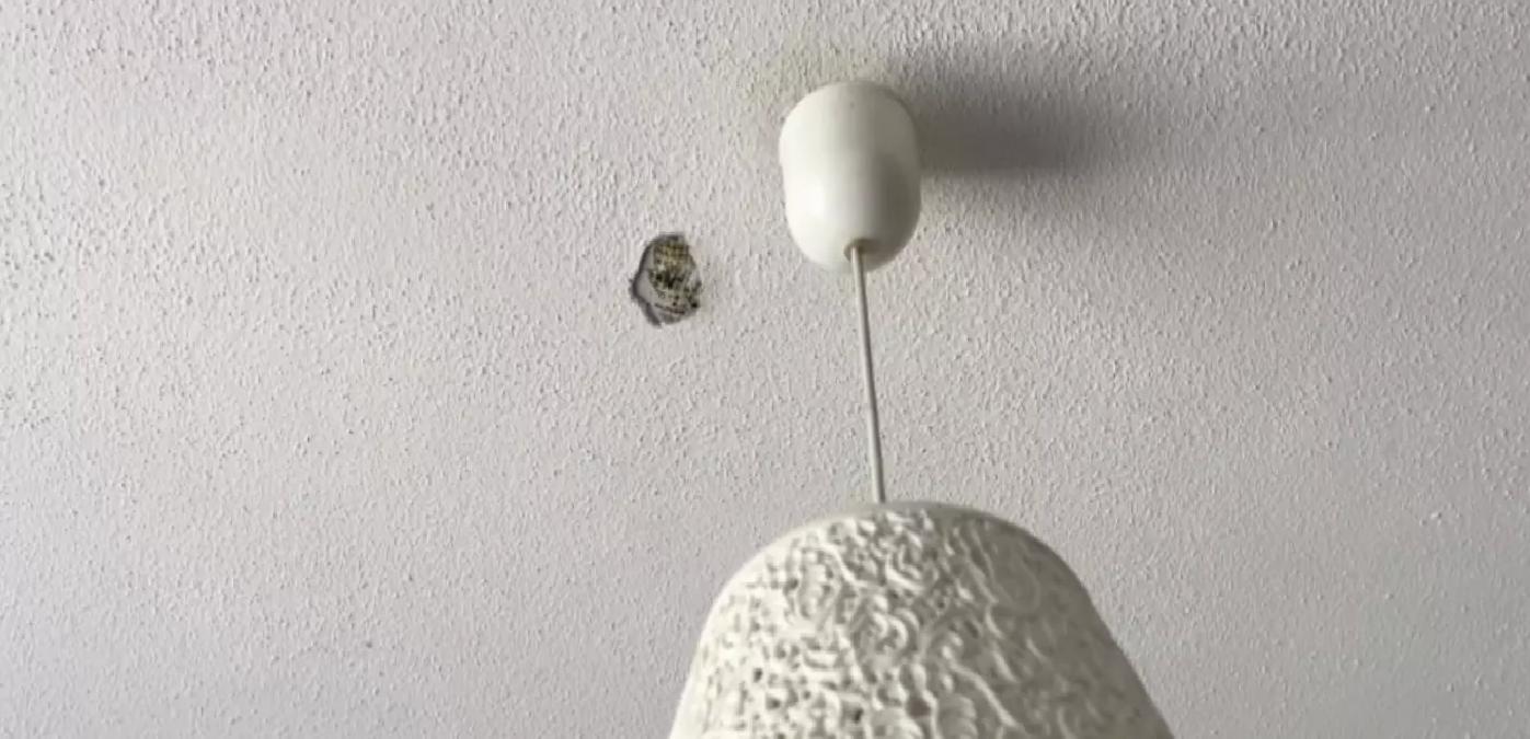 Kardeş Kardeşi Hiltiyle Rahatsız Etti