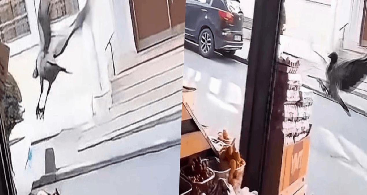 Kargo marketten yumurta çaldı: O anlar kamerada