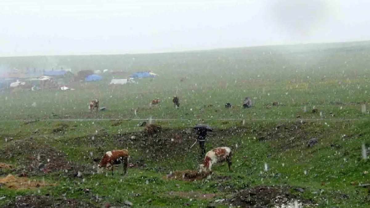 Kars’ta Mayıs’ta Kar Yağışı Şaşırttı