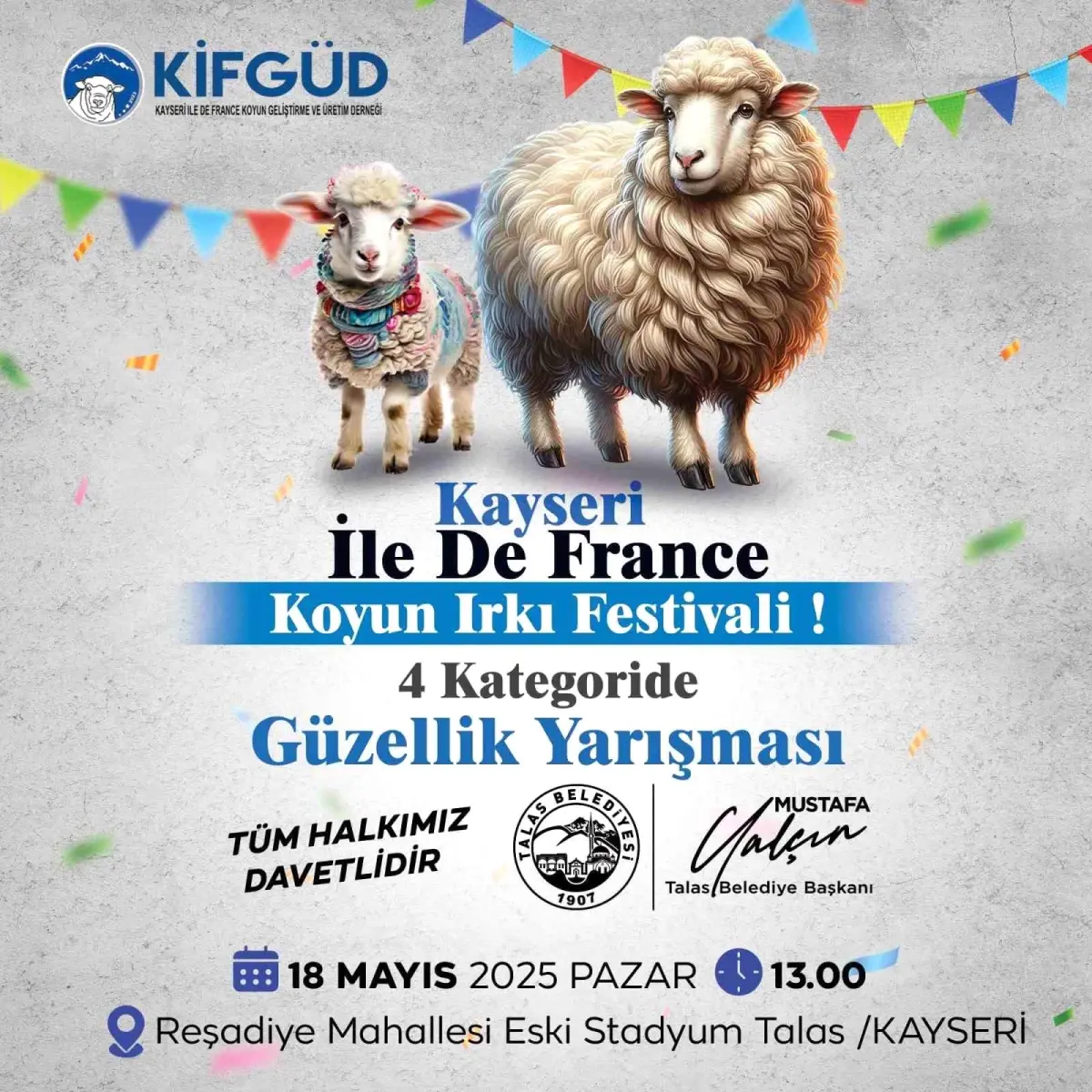 Kayseri’de Ile de France Koyun Irkı Festivali Düzenleniyor