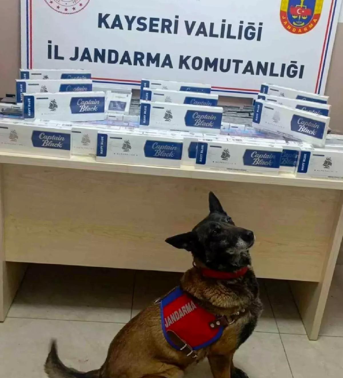 Kayseri’de Tırda Kaçak Sigara Ele Geçirildi