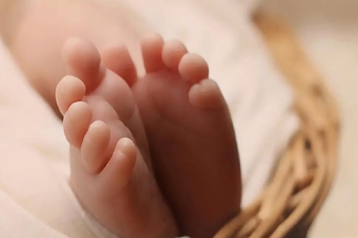 Kenenin ısırdığı bebek hayatını kaybetti