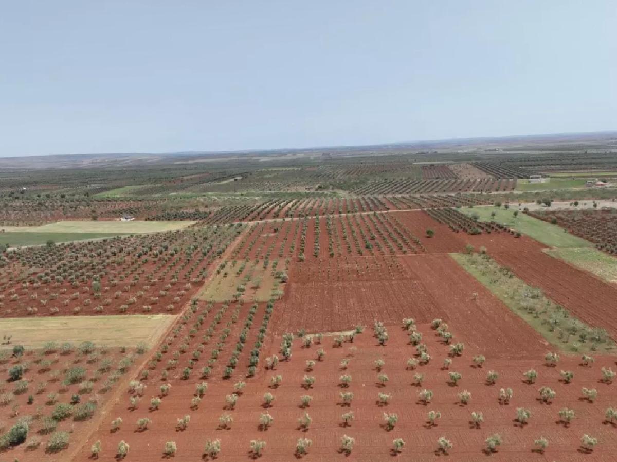Kilis’te Atık Su ile Tarım Arazileri Sulanacak