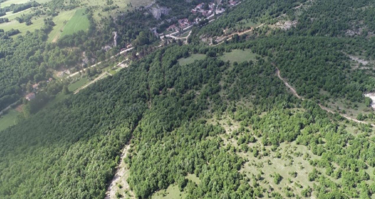 Kırklareli’de ormanlara girişler yasaklandı