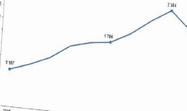 Kırmızı Et Üretim İstatistikleri, 2024