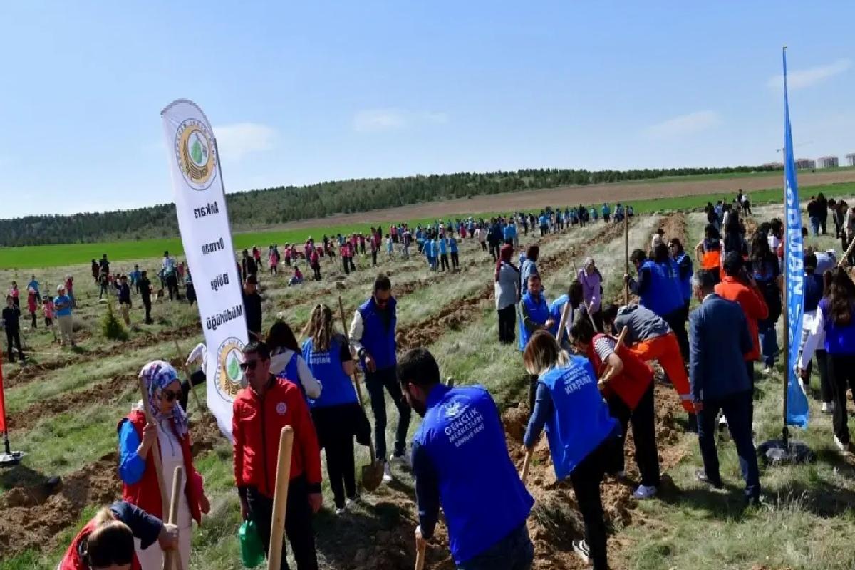 Kırşehir’de 1000 Fidan Dikimi