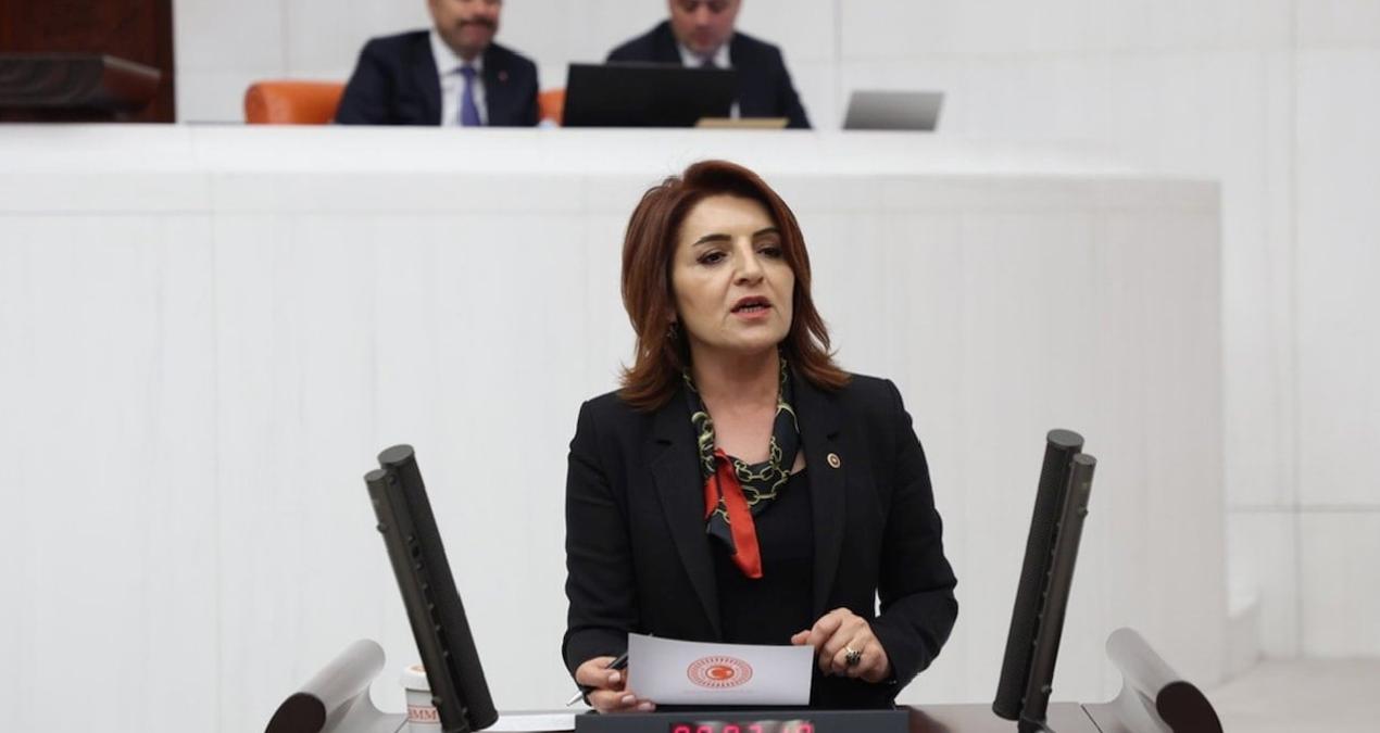 Kış: ‘Parlamento Saray’ın icazet makamı değildir!’