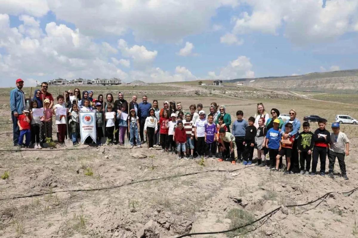 Kocasinan Belediyesi’nden Ağaç Dikim Faaliyeti