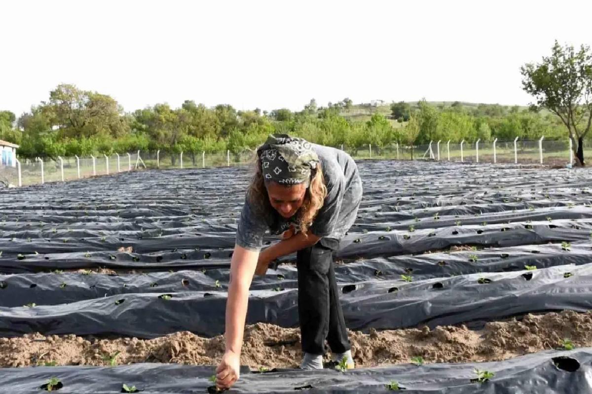 Korona sonrası tarıma yöneldiler