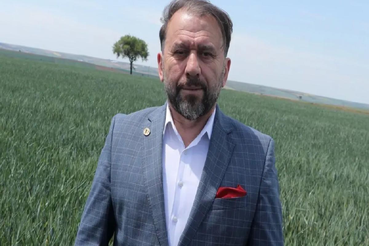 Kuraklık Buğday Rekoltesini Tehdit Ediyor