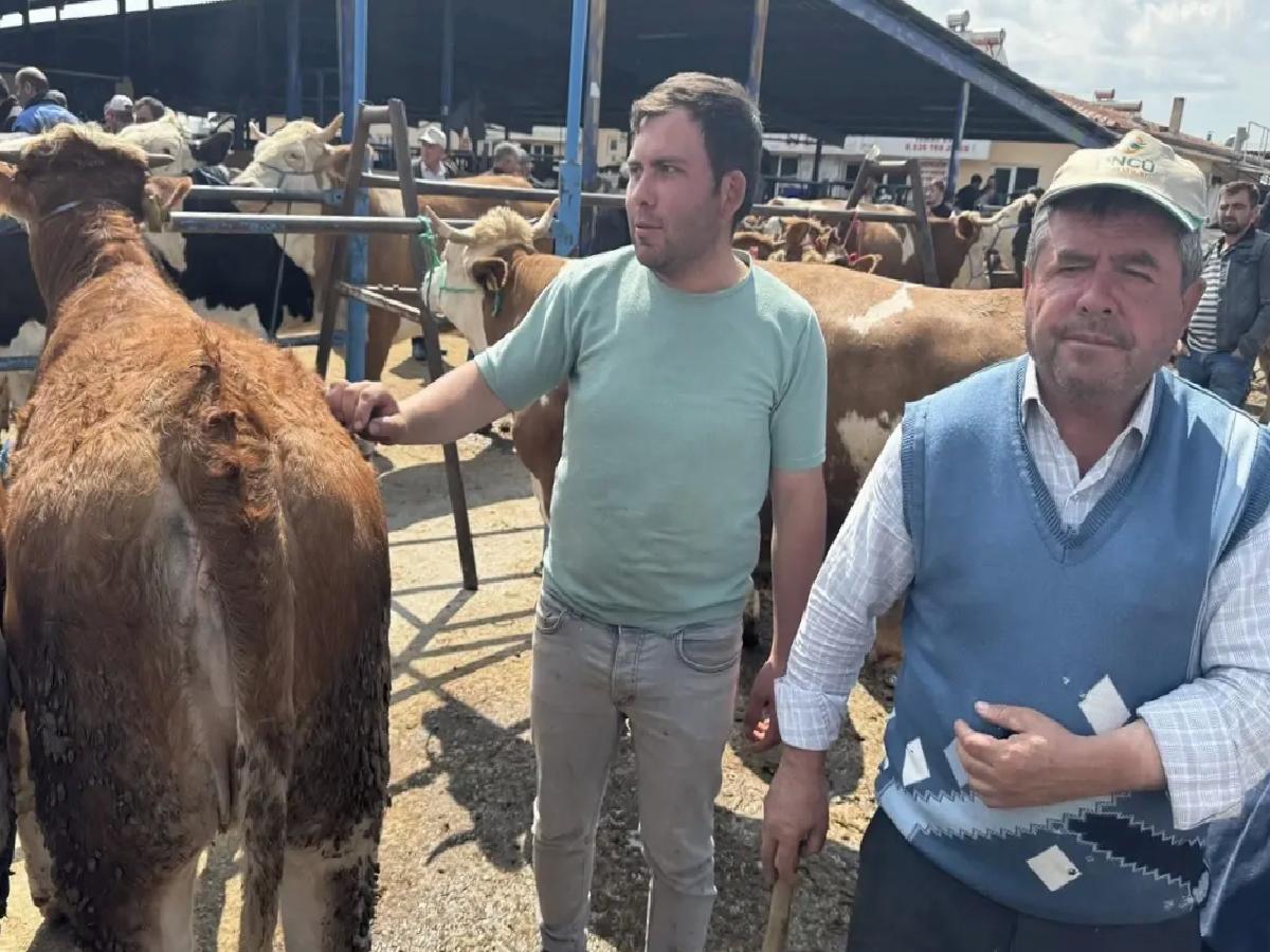 Kurban Bayramı için Hayvan Pazarı Hareketlendi
