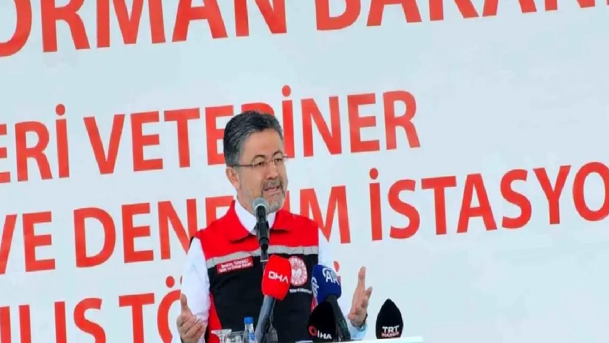 Kurban Bayramı’nda Yeterli Kurbanlık Hayvan