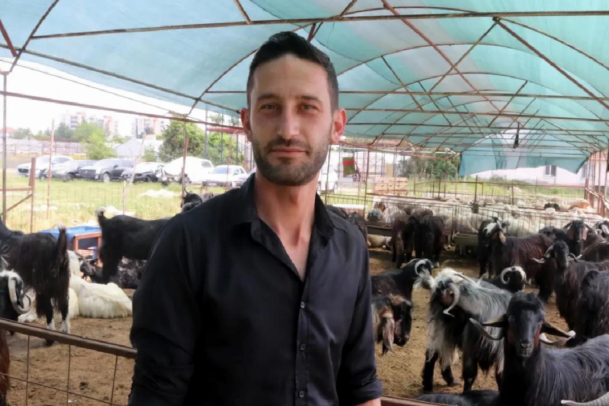 Kurban Pazarında Fiyatlar Sabit Kalıyor