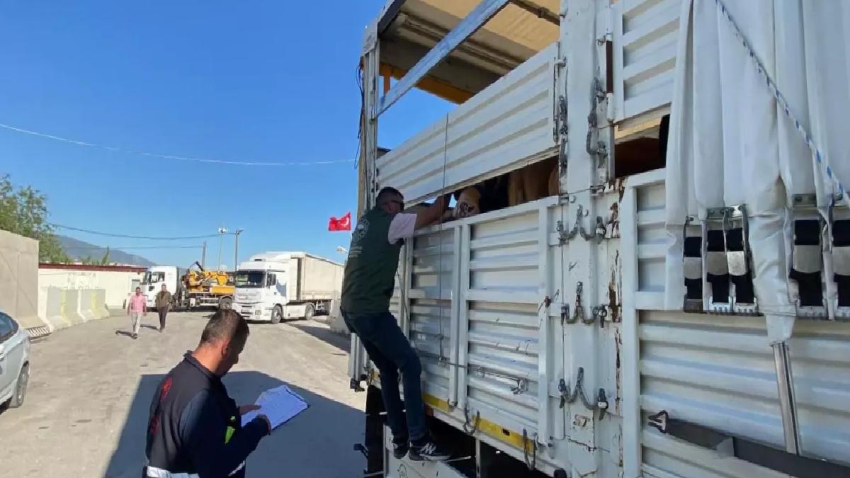 Kurbanlık Hayvan Denetimleri Artırıldı