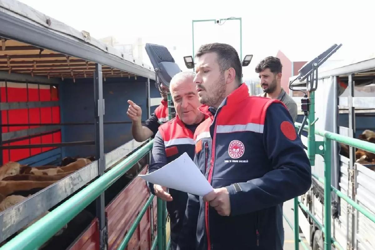 Kurbanlık Hayvan Sevkiyatına Kontrol