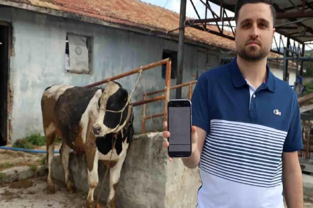 Kurbanlık Tosun Alırken 200 Bin TL Dolandırıldılar