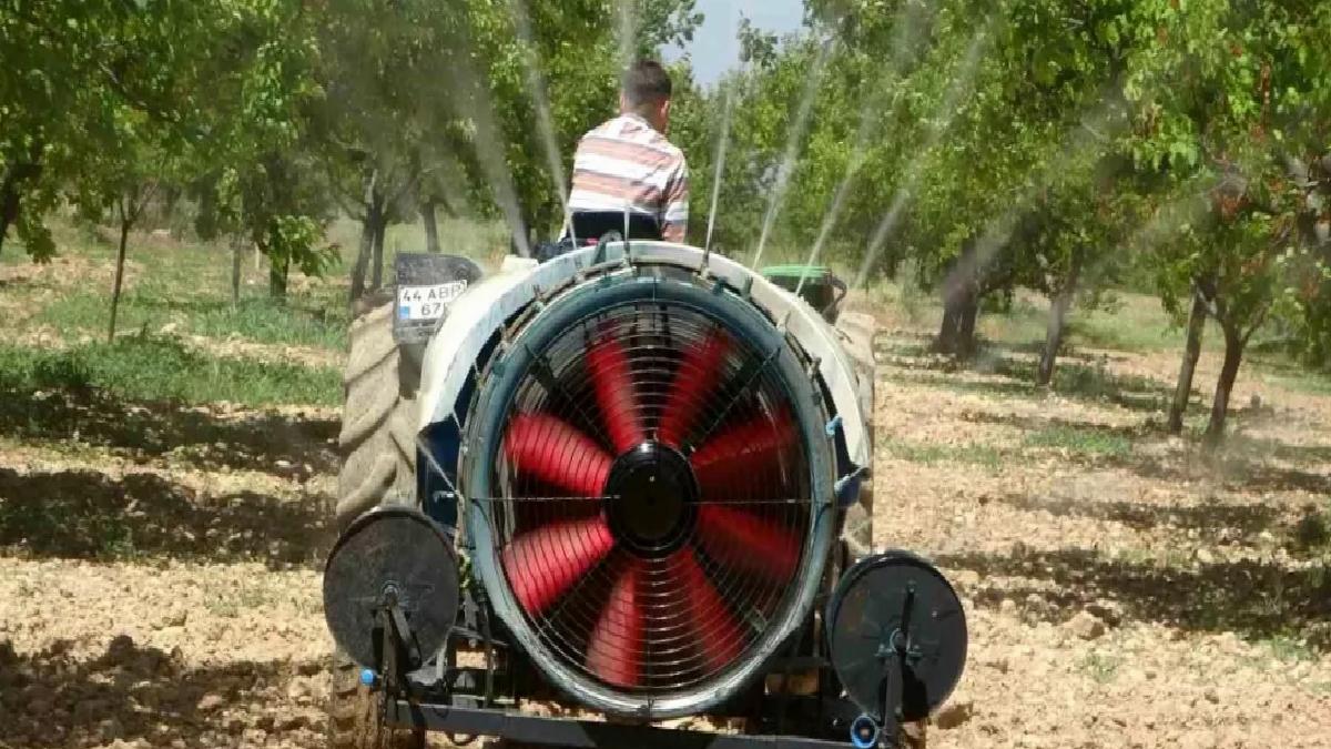 Malatya Kayısı Bahçeleri Yeniden Yeşeriyor
