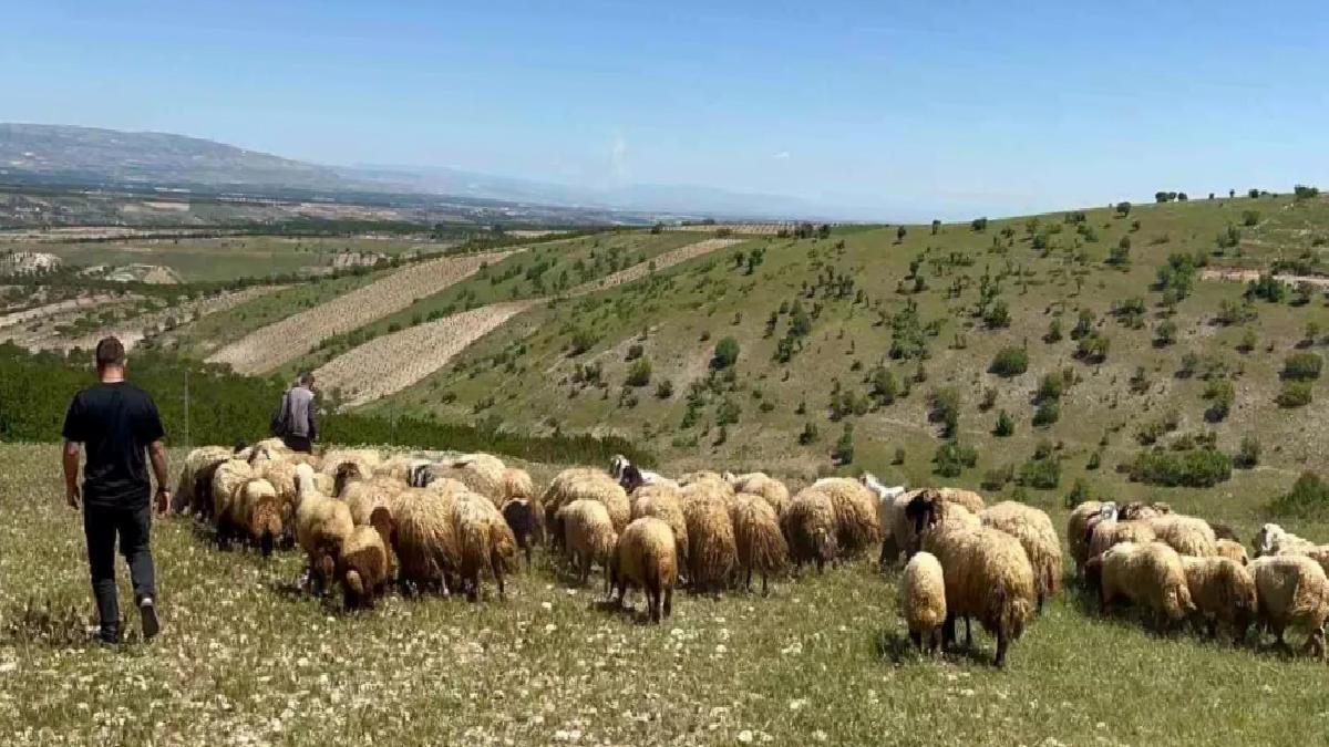 Malatya’da Yayla Göçü Başladı