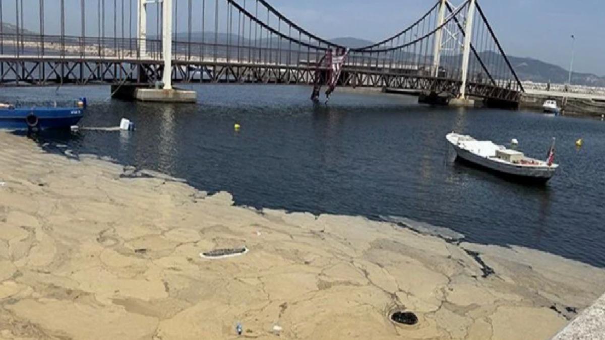 Marmara’dan Saros Körfezi’ne ulaşan müsilaj tehdidi sürüyor