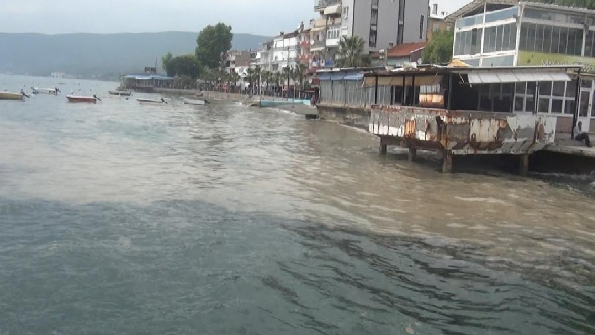 Marmara’nın turistik Gemlik körfezi müsilajla kaplandı