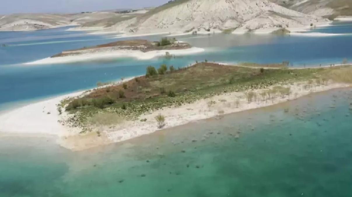 Martı Adası’nda Yuvalama Dönemi
