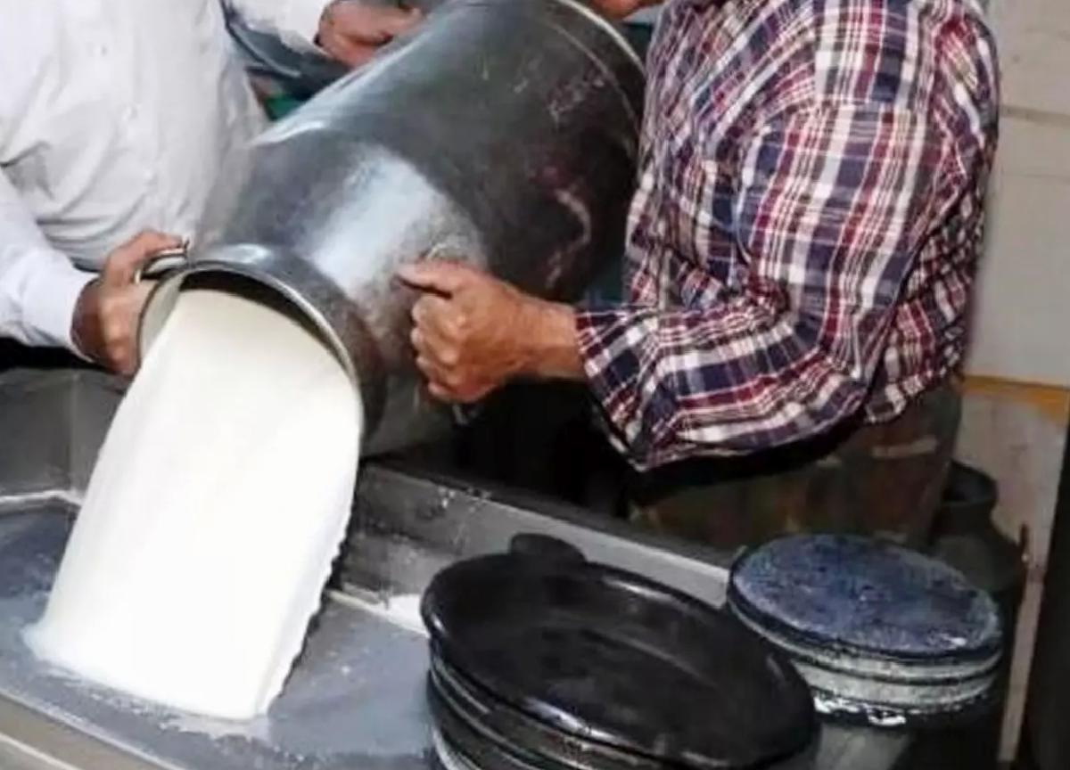 Mart’ta Süt Toplama Miktarı Artış Gösterdi