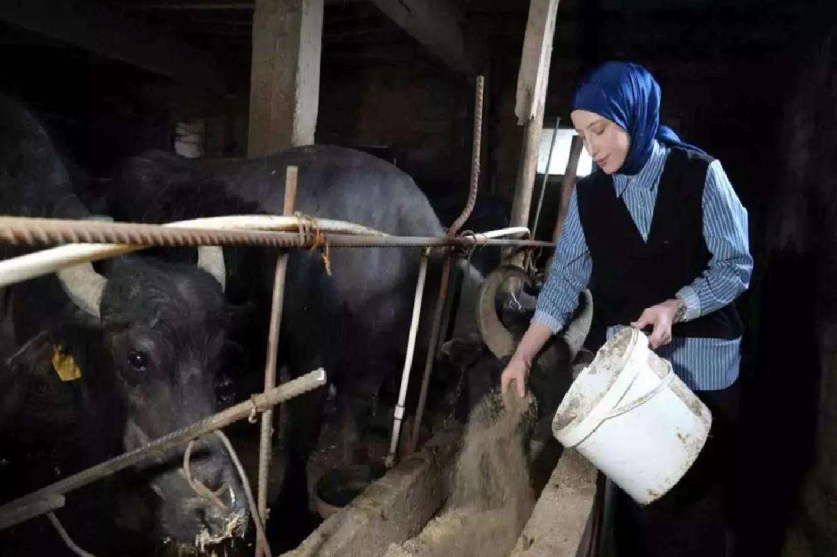 Mart’ta Süt Üretiminde Artış
