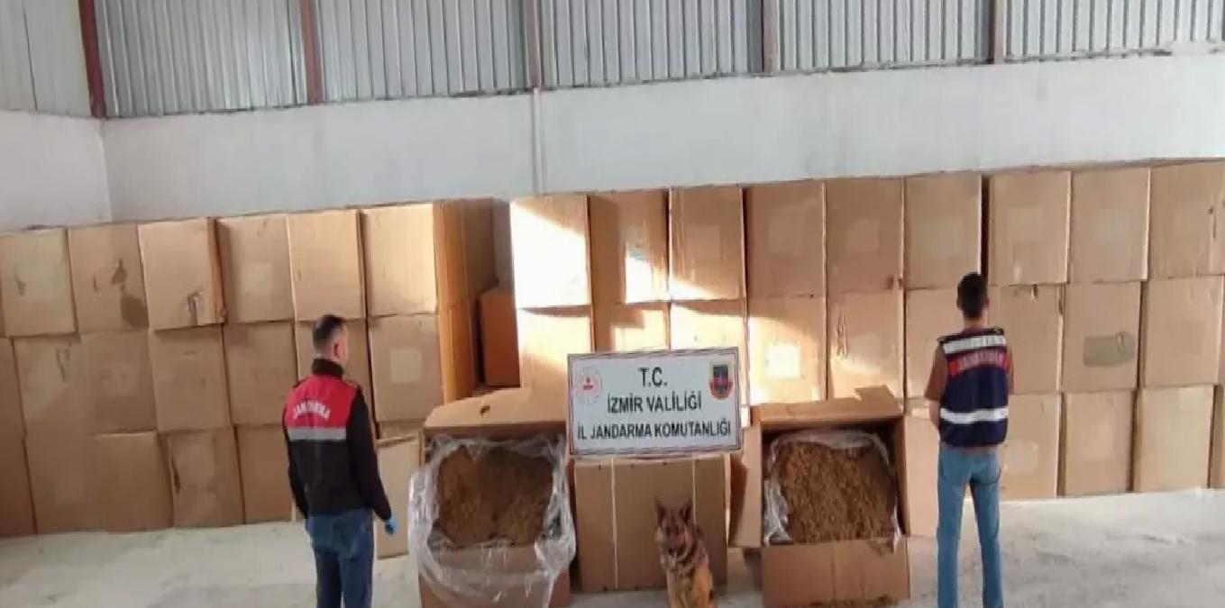 Menderes’te 6 Ton Kaçak Tütün Ele Geçirildi