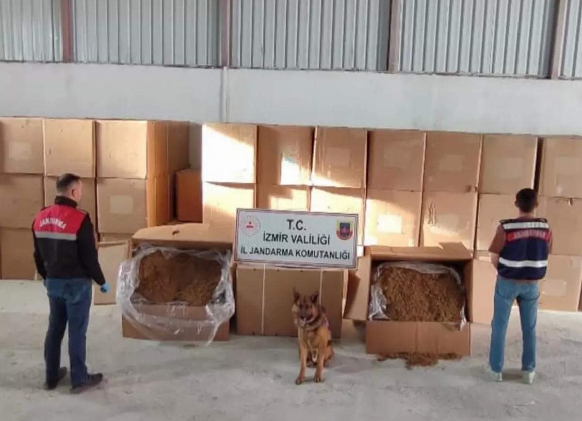 Menderes’te Kaçak Tütün Operasyonu