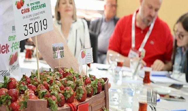 Menemen’de festival coşkusu yaşanacak